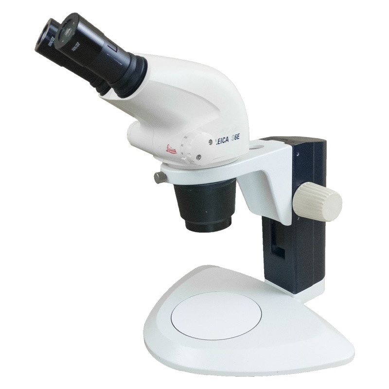 Leica S6E Stereo Zoom Microscope on Basic Stand