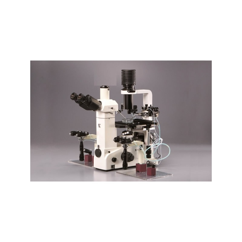 Meiji TC-5400/SIS-4M Trinocular Inverted Phase Micromanipulator Injection Microscope