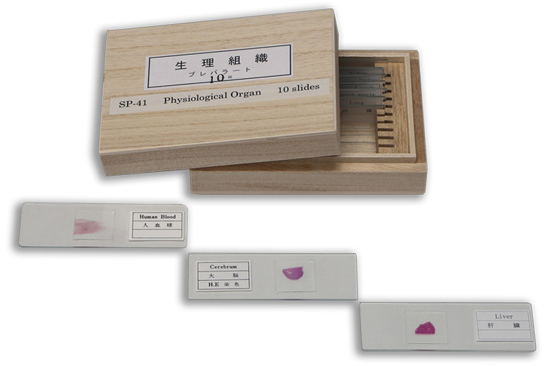 SP-41 Physiological Organ (10) Sample Slide