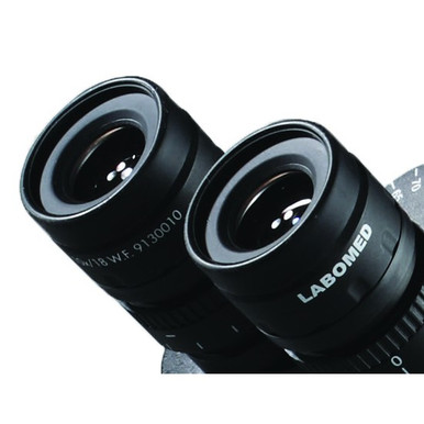 フィルムカメラ wilson christopher LBO9136010__43449.1614112767.