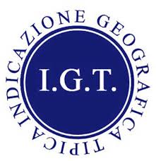 logo-igt.jpg