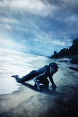 Incidents Around the House (preorder)