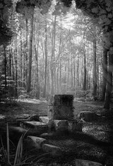 Memorials (preorder)