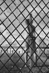 The Resort (preorder)