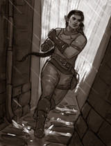 Tales from the Territory eBook