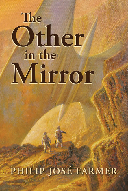 Other in the Mirror
