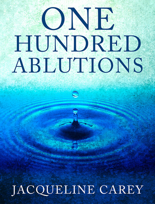 One Hundred Ablutions eBook