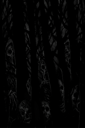 Cover of Not a Speck of Light