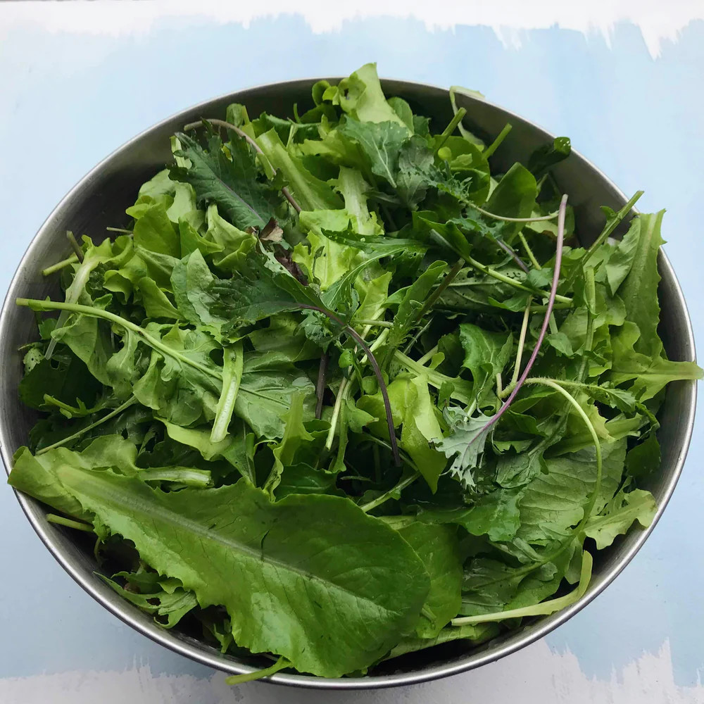 Hudson Valley Seed Co. Salad Bowl
