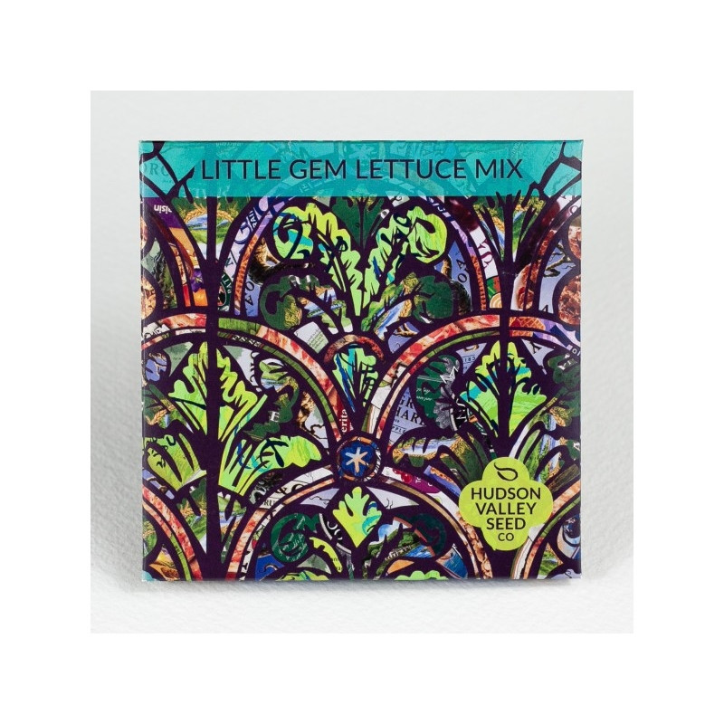 Little Gem Lettuce Mix Seeds Art Pack - Thumbnail 2