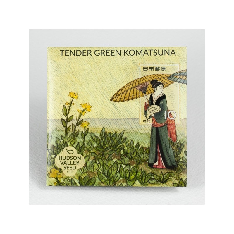 Tendergreen Komatsuna