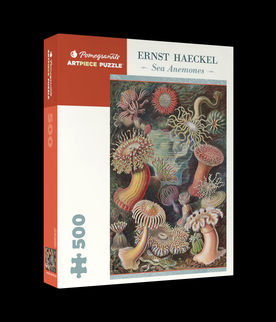 Ernst Haeckel Sea Anemones Puzzle 500 Pc Pomegranate JennyK