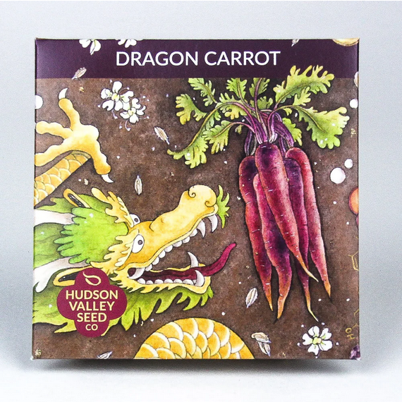 Hudson Valley Seed Co. Dragon Carrot - Thumbnail 2