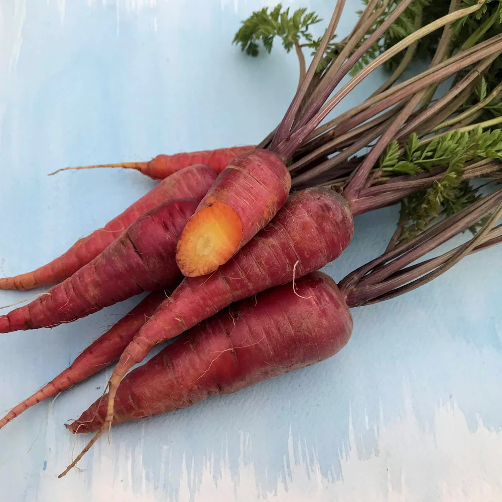 Hudson Valley Seed Co. Dragon Carrot