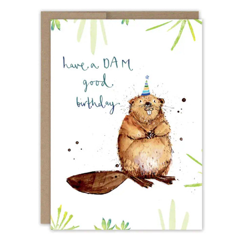 Dam Good Birthday Card by Biely & Shoaf