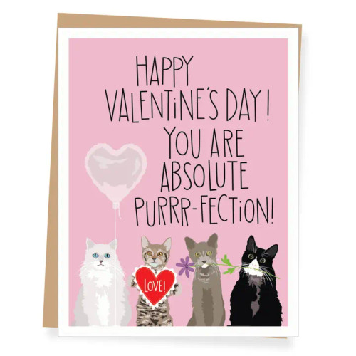 Cat Purrfection Valentine’s Day Card from Apartment 2 Cards