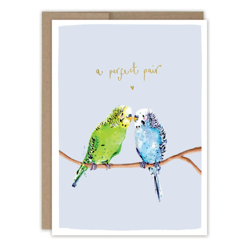 Parakeets Anniversary Card