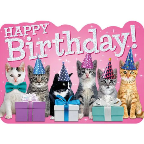 Kittens Foil Birthday Card from Paper House Productions