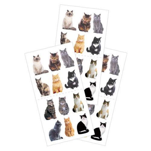 Mini Mixed Cats Sticker – Flat Design from Paper House Productions