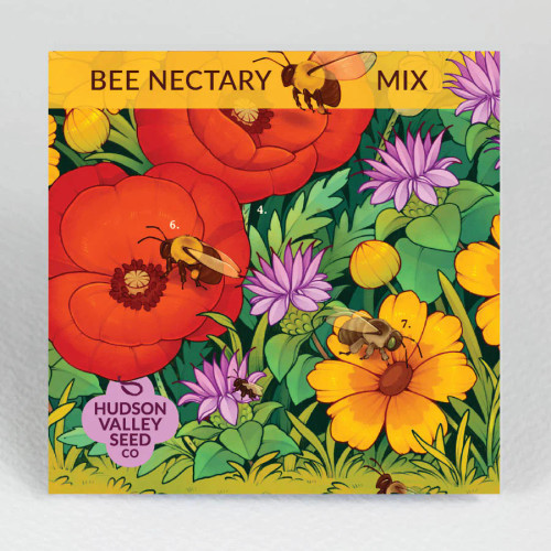 Bee Nectary Mix Seeds from Hudson Valley Seed Company