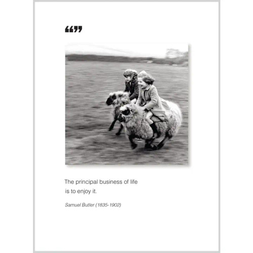 Principal Business Birthday / All Occasion Card from The Borealis Press