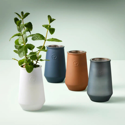 Tapered Tumbler Grow Kit by Modern Sprout