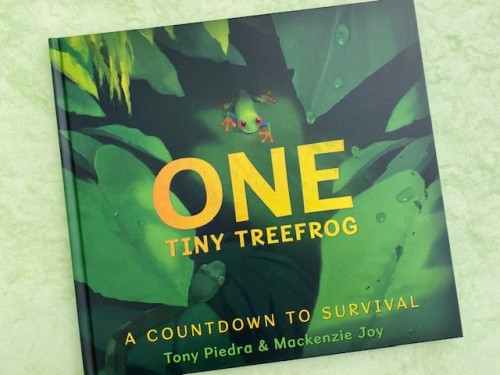 One Tiny Treefrog (Hardcover) from Penguin Random House