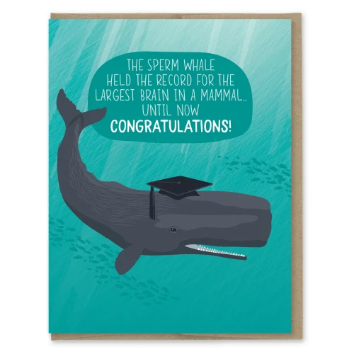 Big Brain Whale Graduation Card by Modern Printed Matter