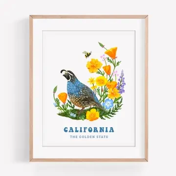 California Quail & Wildflowers Art Print