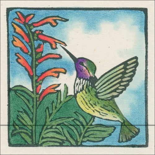 Hummingbird Matchbook Notes 