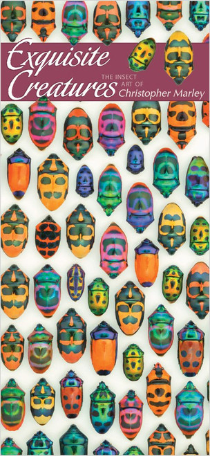 Christopher Marley: Exquisite Creatures Panoramic Boxed Notecards