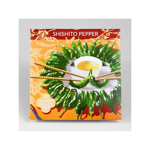 Shishito Pepper