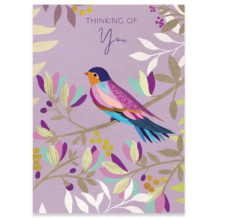 Colorful Bird Get Well Card