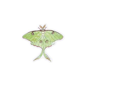 Luna Moth Eco-Sticker