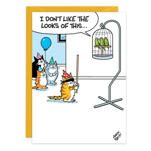 Bird Piñata Birthday Card – from Oatmeal Studios
