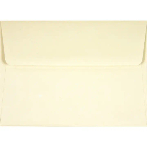  Navy Blue Thank You Notes from Peter Pauper Press