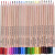 Studio Series Junior Colored Pencils from Peter Pauper Press