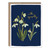 Snowdrops Sympathy Card