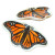 Monarch "California" Trinket Dish From SF Mercantile