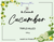 Soothing cucumber triple-milled soap from La Lavande. Gentle, long-lasting, and made with pure natural oils.