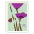 Anemones Sympathy Card