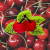 Large Cherries Hair Claw Clip – from Jenny Lemons