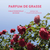 Essential Rose Roll-on .33 fl oz from Panier Des Sens
