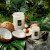 Tahitian Coconut Vanilla 5.5oz Small Jar Candle from Voluspa