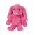 Begonia Pink Floppy Bunny Small from Douglas