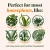 Grow Organic Plant Food Concentrate – 8 oz by We The Wild Plant Care