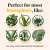 Enrich Organic Plant Food and Soil Amendment – 14 oz by We The Wild Plant Care
