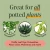 Houseplant Care Essentials Organic Starter Kit by We The Wild Plant Care