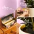 Gnat Sticky Traps with Tin Box by We The Wild Plant Care