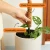 Coconut Coir Bendable Grow Pole – 16" by We The Wild